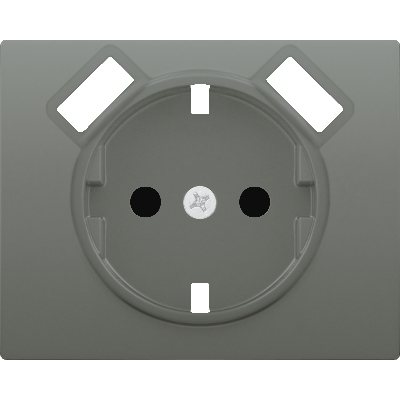 Tapa enchufe seguridad 2P+TT lateral con 2 tomas USB acero neptuno