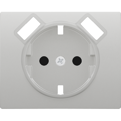 Tapa enchufe seguridad 2P+TT lateral 2 tomas USB aluminio mercurio