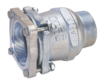 Terminal rosca macho AF21/2"