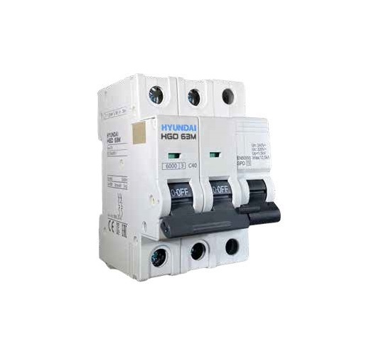 Iga + sobretensión transitoria y permanente 2P 40A