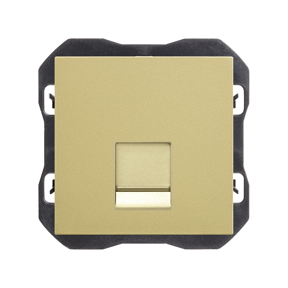 Tapa de voz y datos plana con guardapolvo con 1 conector RJ45 bronce