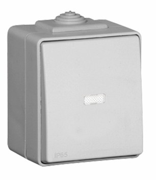 Conmutador luminoso 16AX 250V en color gris IP65