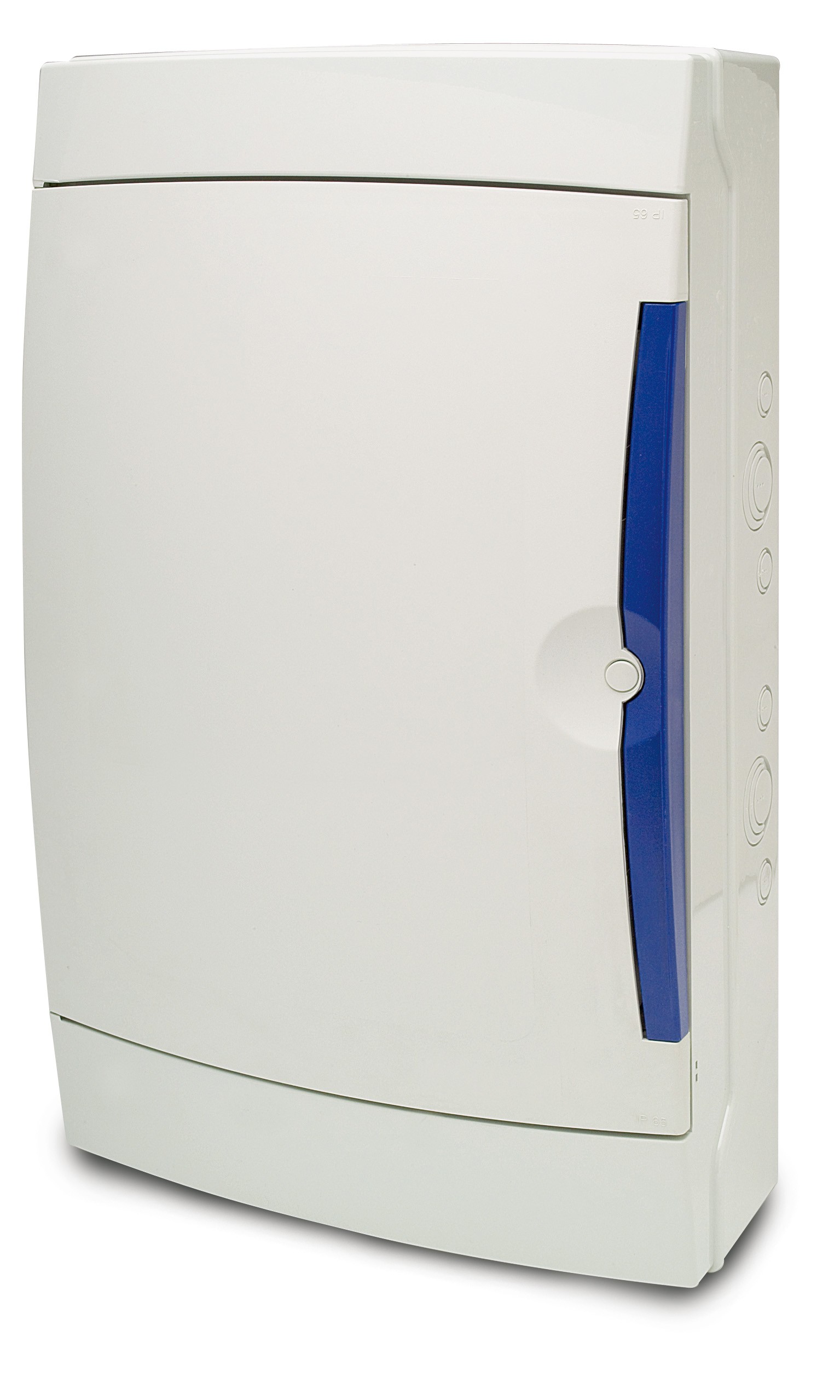 Armario de superficie de 42 módulos con tapa transparente IP65