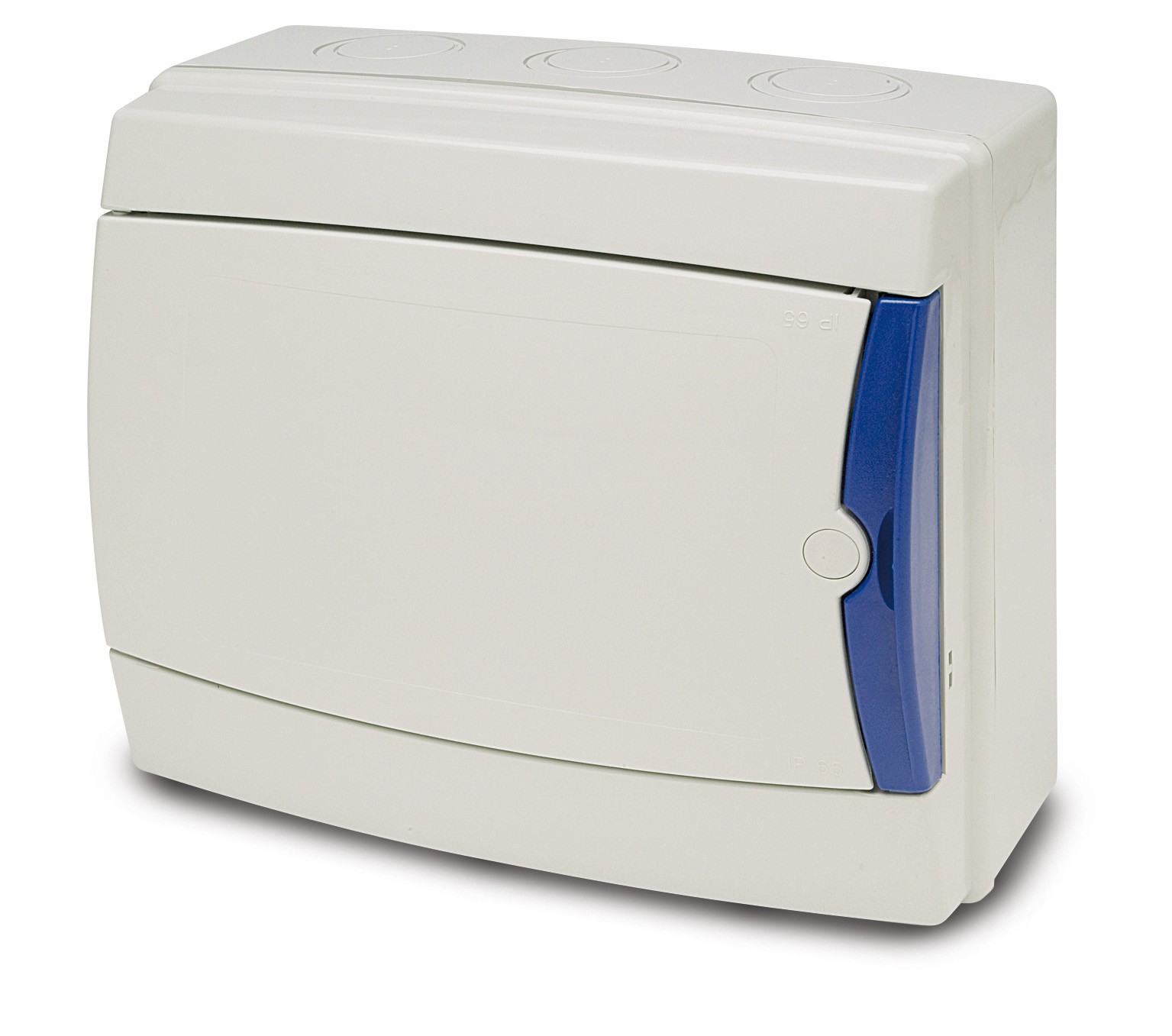 Armario superficie 8 módulos con puerta opaca precintable IP65